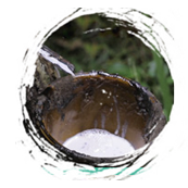 多年品牌全案策劃經(jīng)驗(yàn)